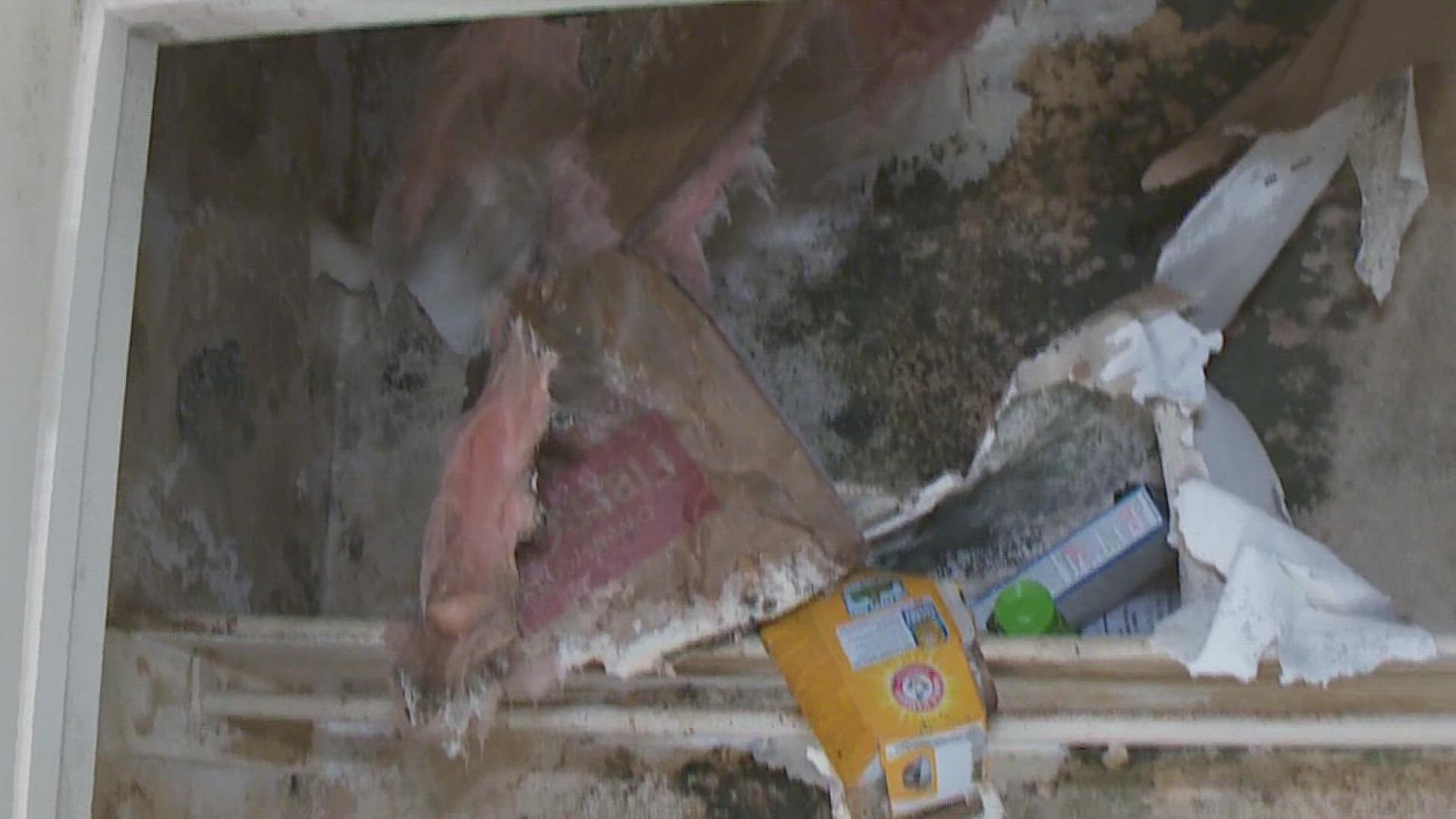 Marvett Johnson says the mold in her apartment has gotten so bad she has to sleep in the living room.