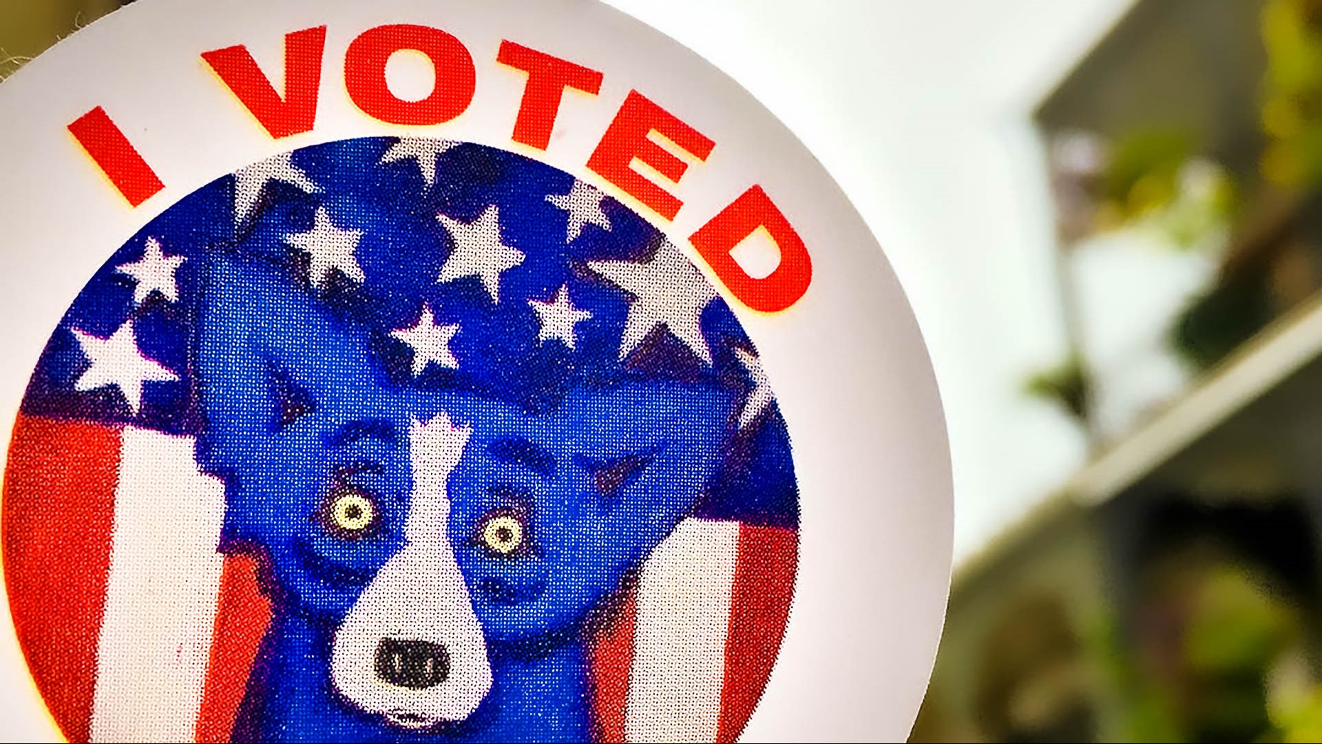 How to register to vote for Louisiana's October Election | wwltv.com