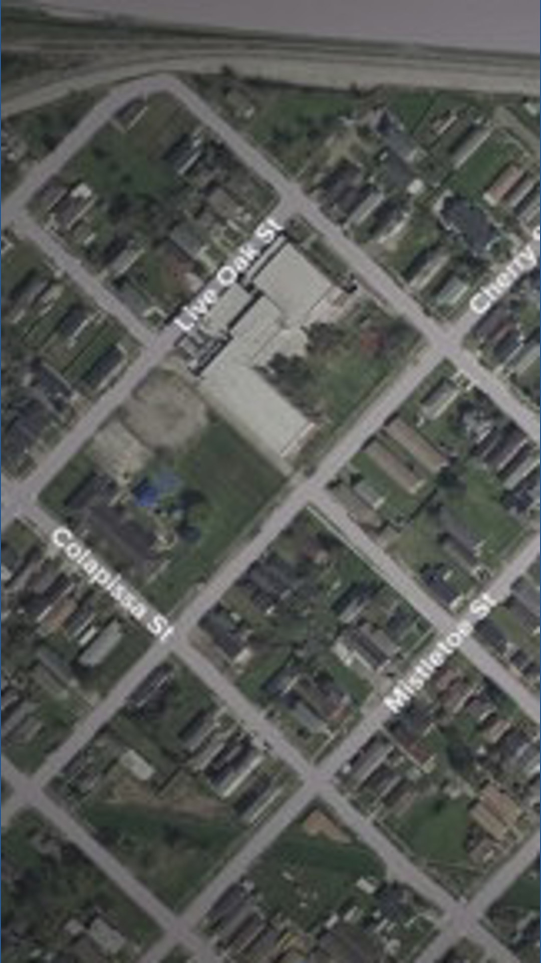 Hollygrove shooting leaves man dead, NOPD investigates | wwltv.com