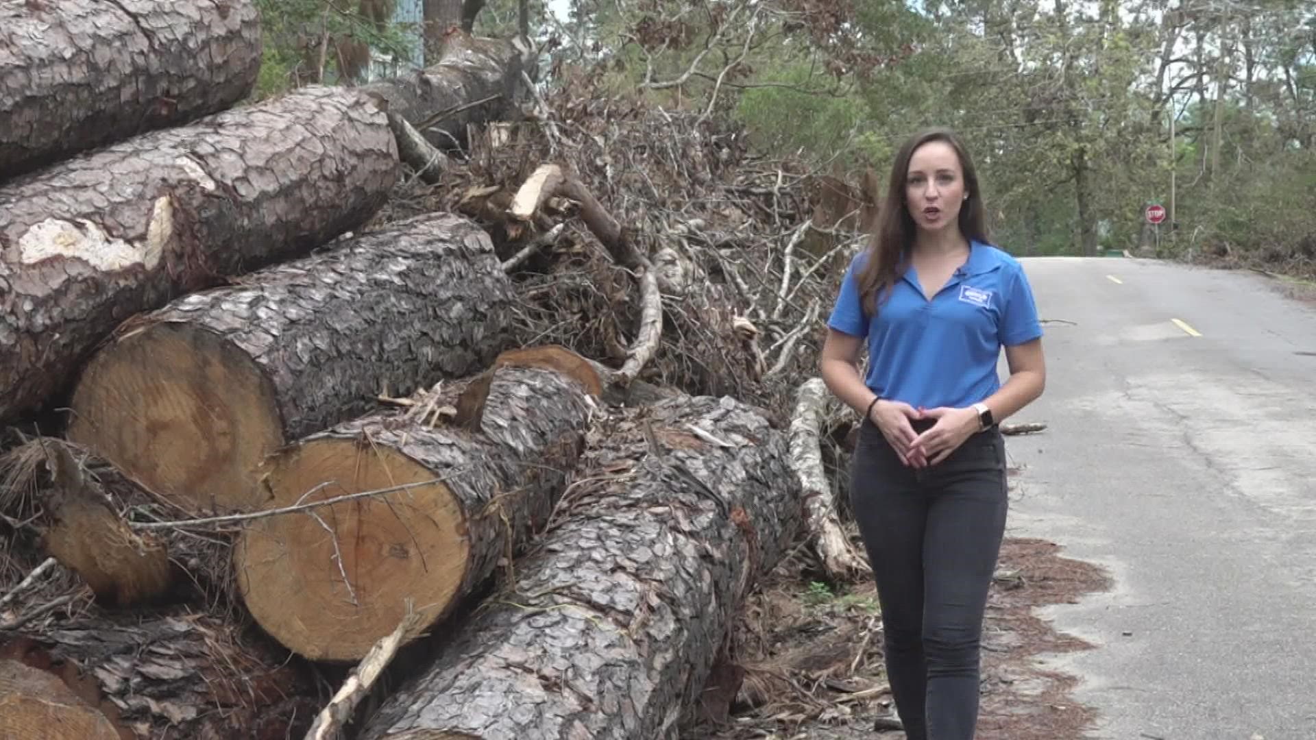 Tangipahoa Parish's biggest issue was huge trees going down - slamming into homes, destroying rooftops, knocking out power and Internet.