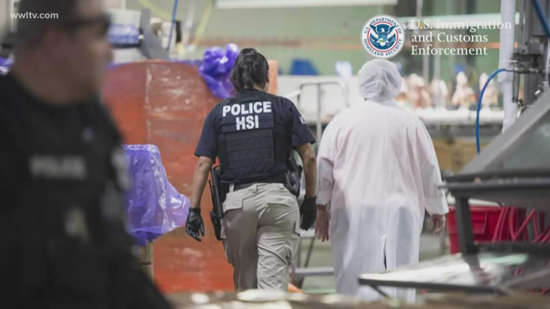 U.S. Immigration and Customs Enforcement raided seven plants as part of an ongoing work site investigation.