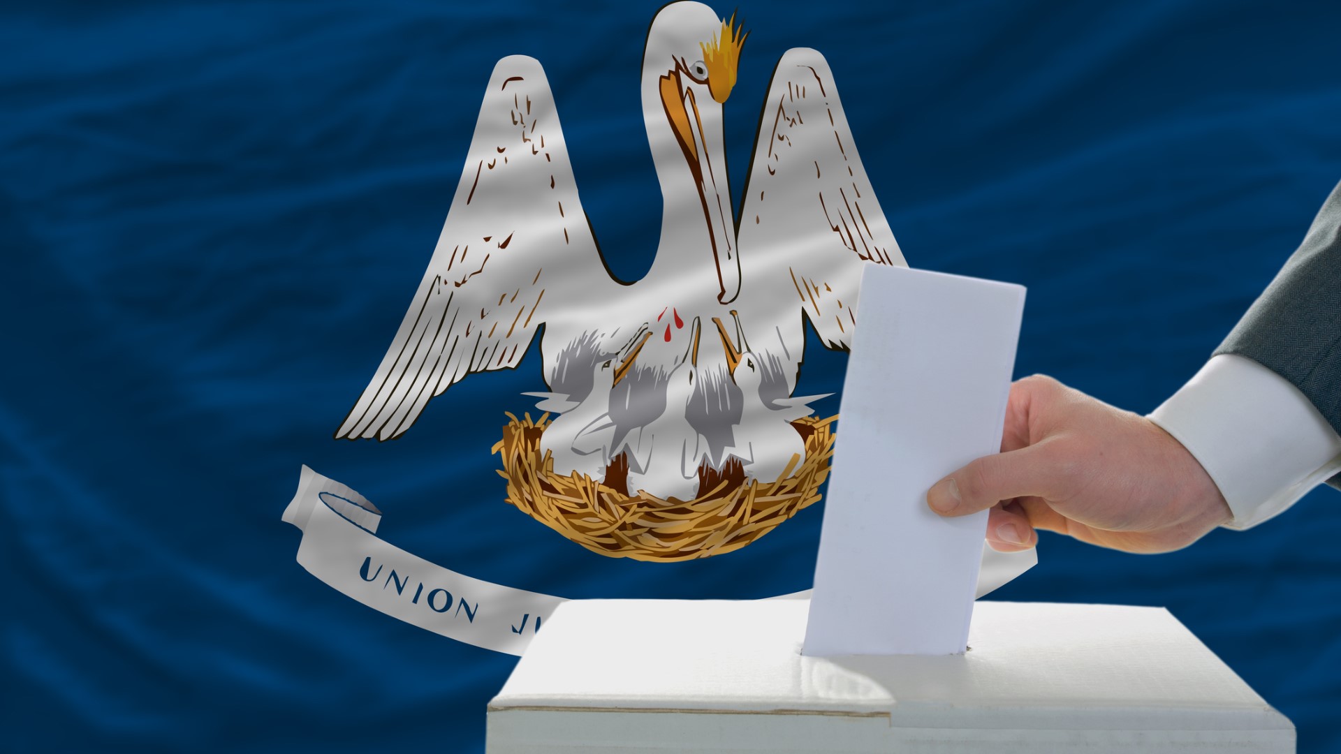 Here's a more in-depth look into what Louisiana voters will see on the ballot Saturday.