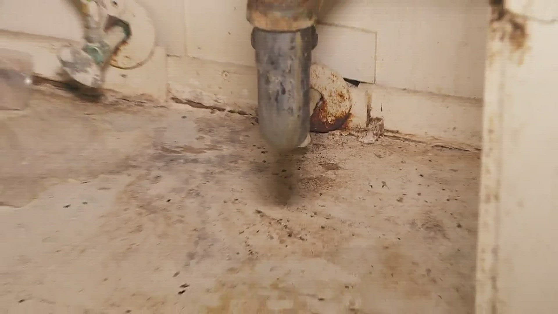 Bogalusa public housing tenants complain about unsanitary, unsafe