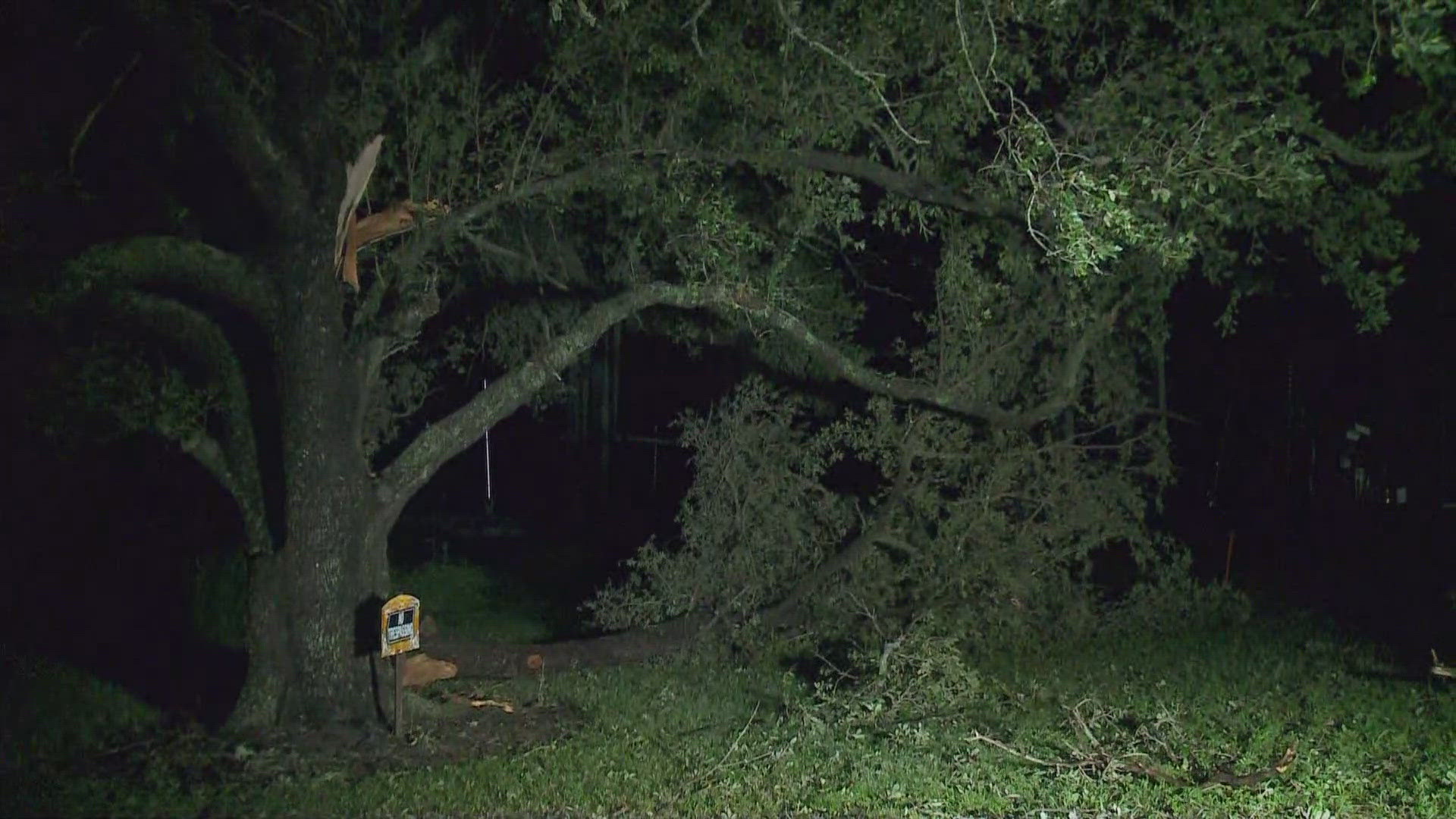 Lafourche Parish President Archie Chaisson III talks with WWL Louisiana's Leigha McNeil about damage sustained during Hurricane Francine overnight.