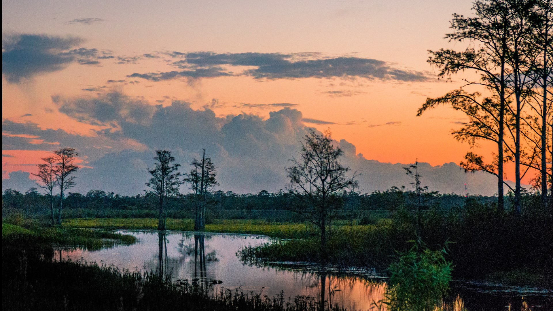 What's 'the most beautiful place' in Louisiana? | wwltv.com