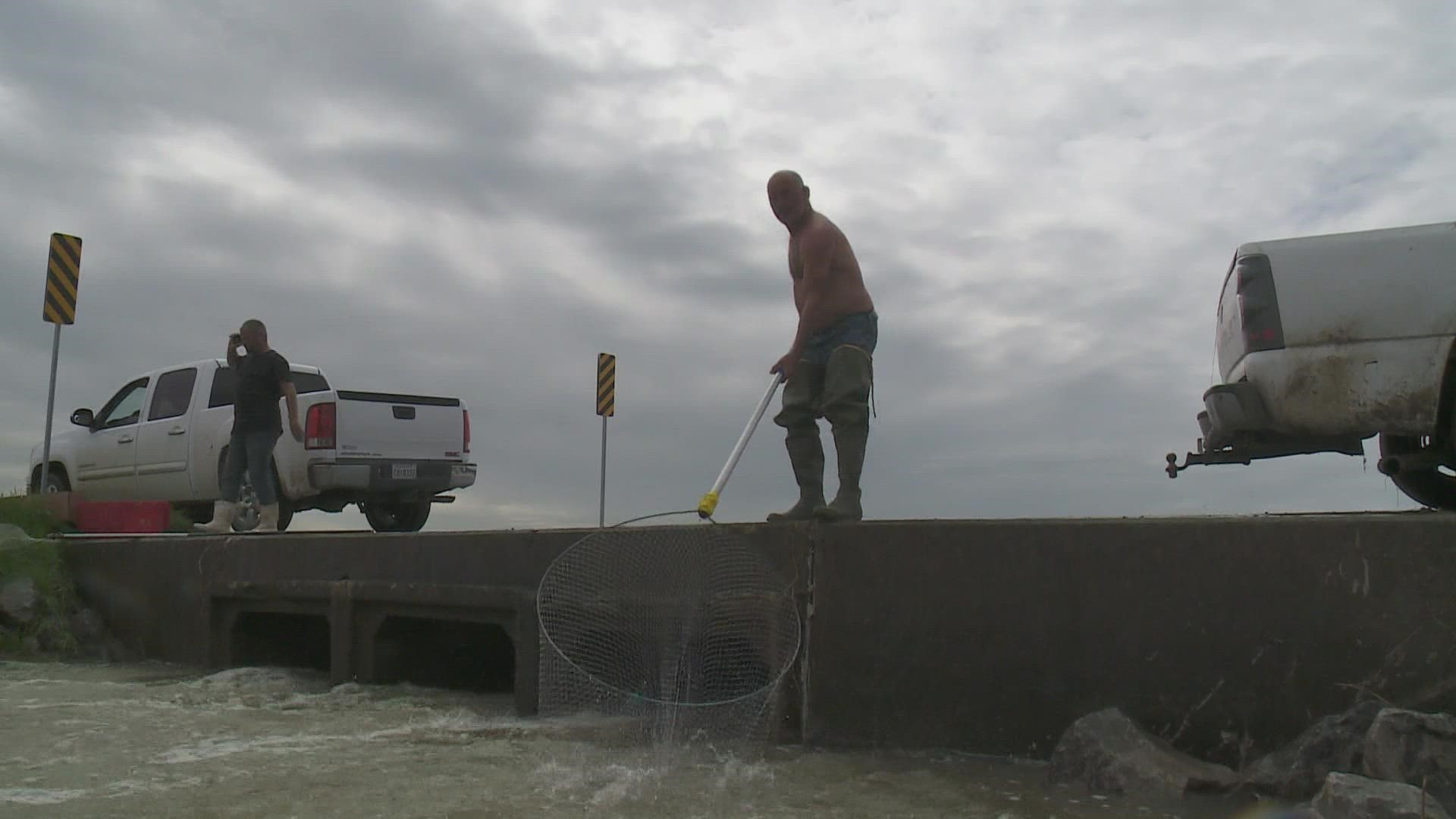 The Mississippi is now expected to start cresting on Saturday, then remain at 13.2 feet at the Carrollton Gage for at least 5 days before falling.