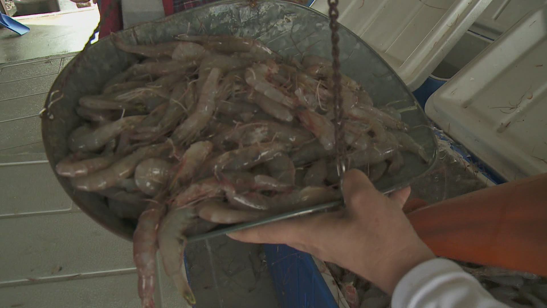 Westwego seafood market said the pandemic did not hit their business as bad as it hit others.