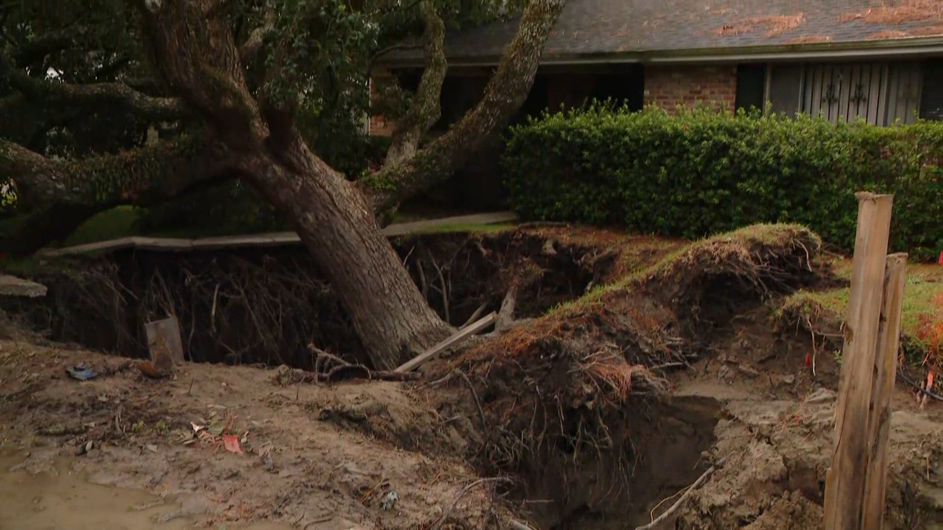 SWBNO to cover tree removal, property restoration after Lake Terrace leak