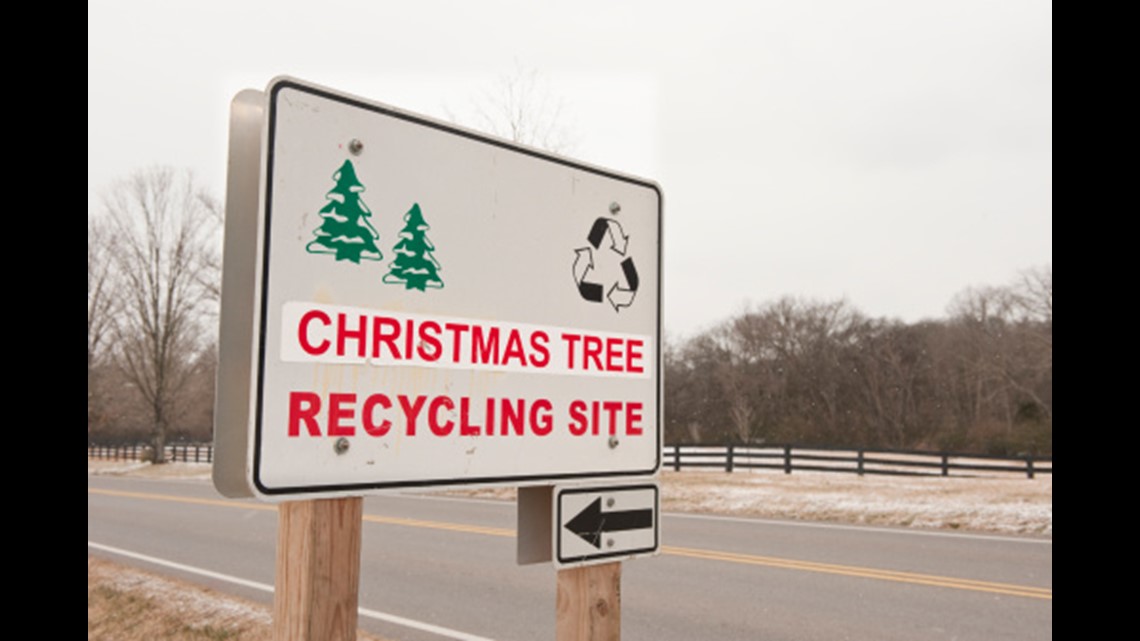 Where to recycle Christmas trees in your parish