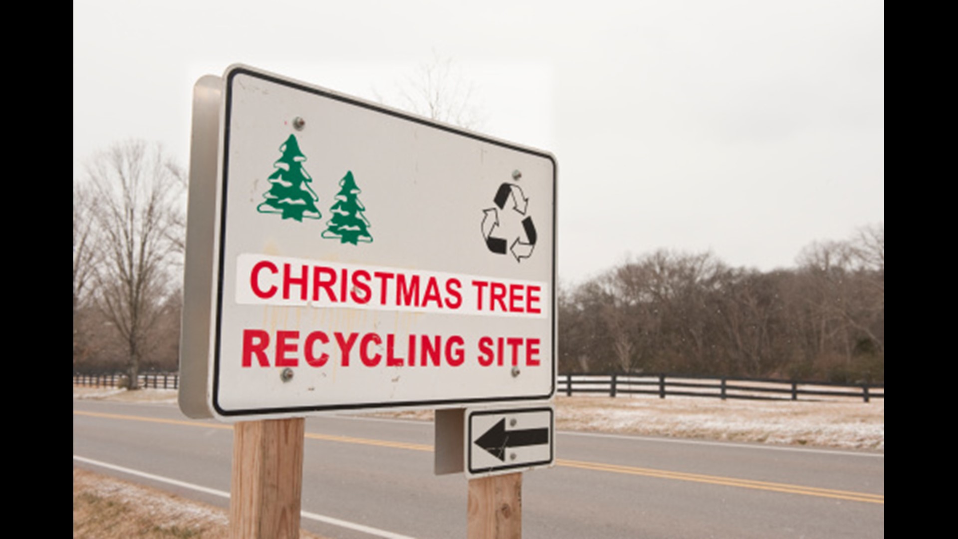 Where to recycle Christmas trees in your parish