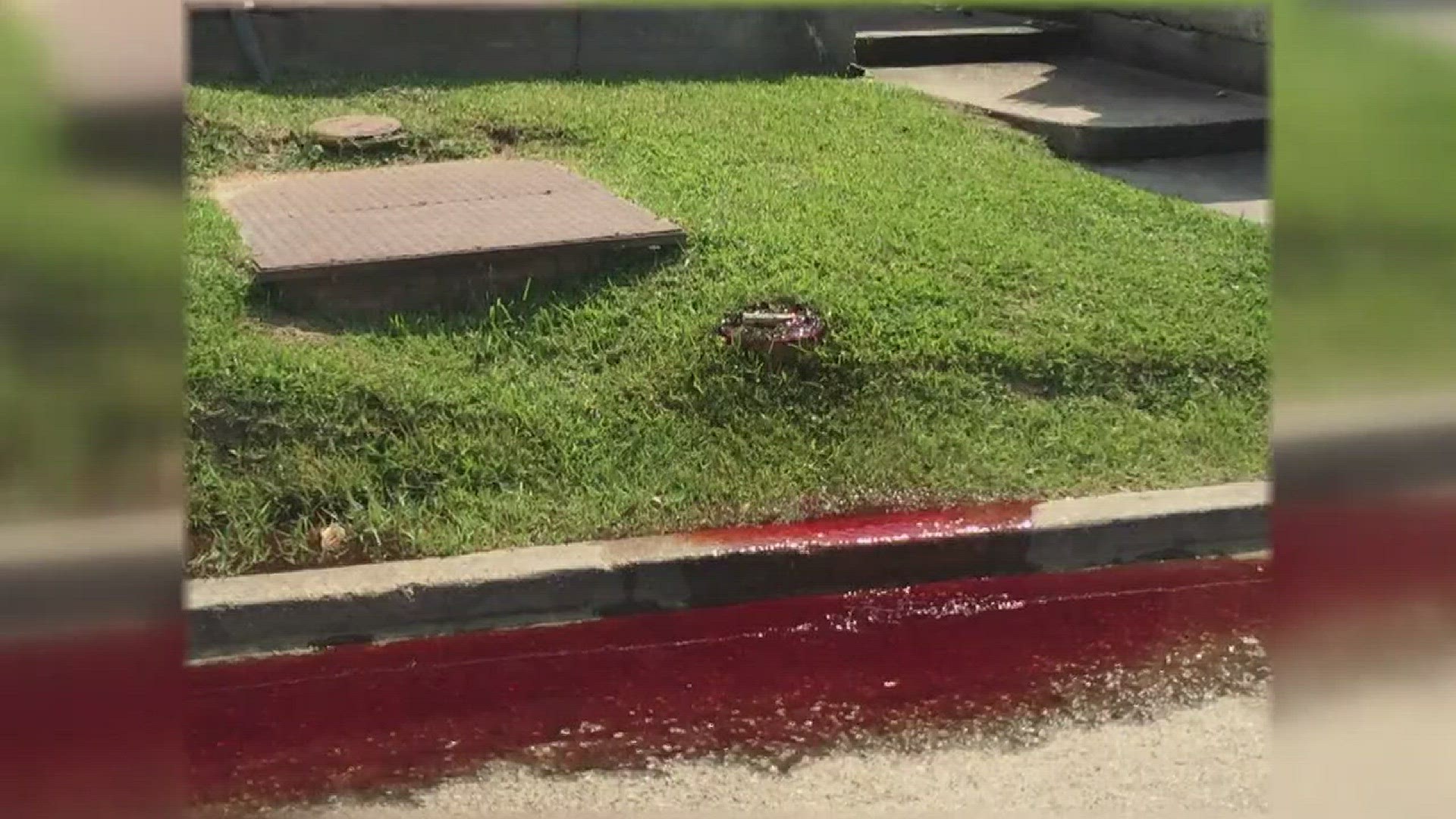 Report: Photos show blood leaking from Baton Rouge funeral home