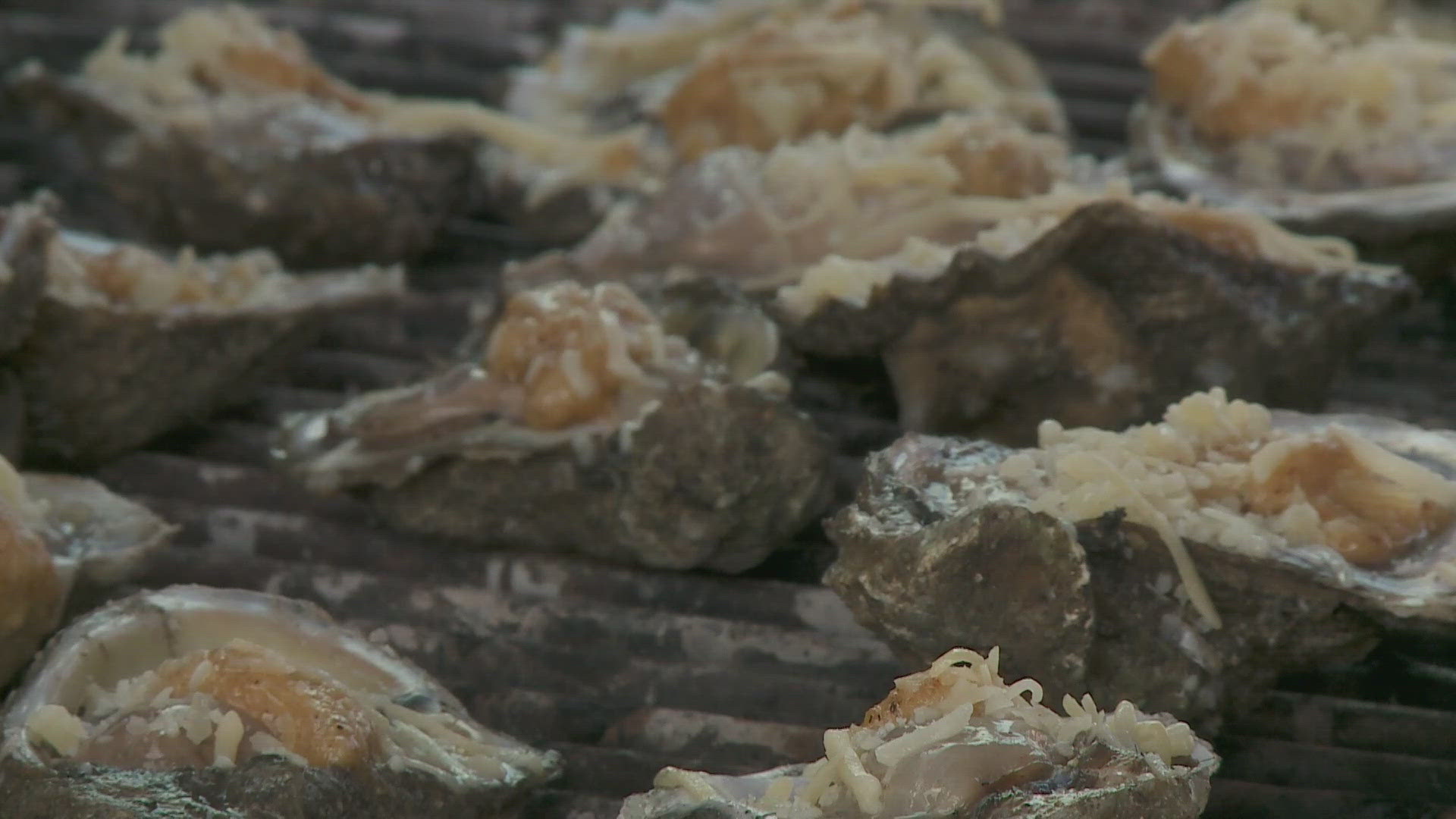 Plaquemines Parish held their Seafood festival, which has been going on for twenty years and has grown over the past two decades.
