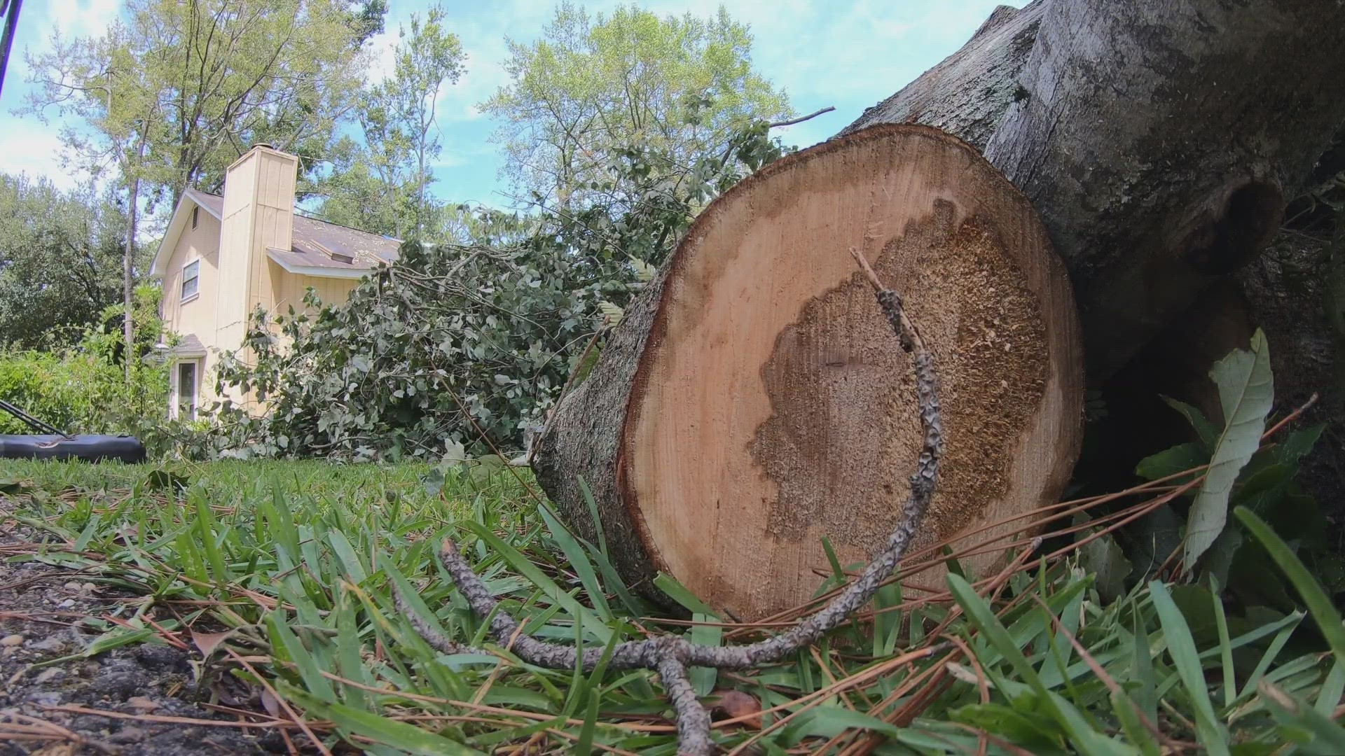 “I cleaned it all this morning. The streets here were very, very scary,” a Mandeville resident said.