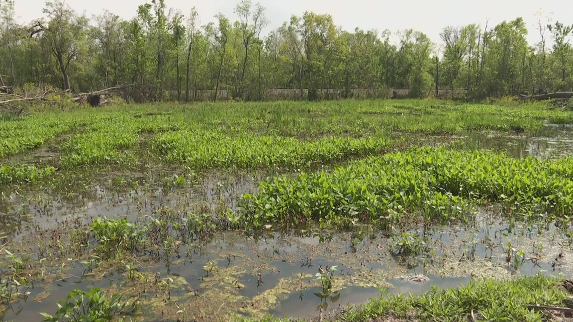 What's that smell? New Orleans East residents complain of lingering