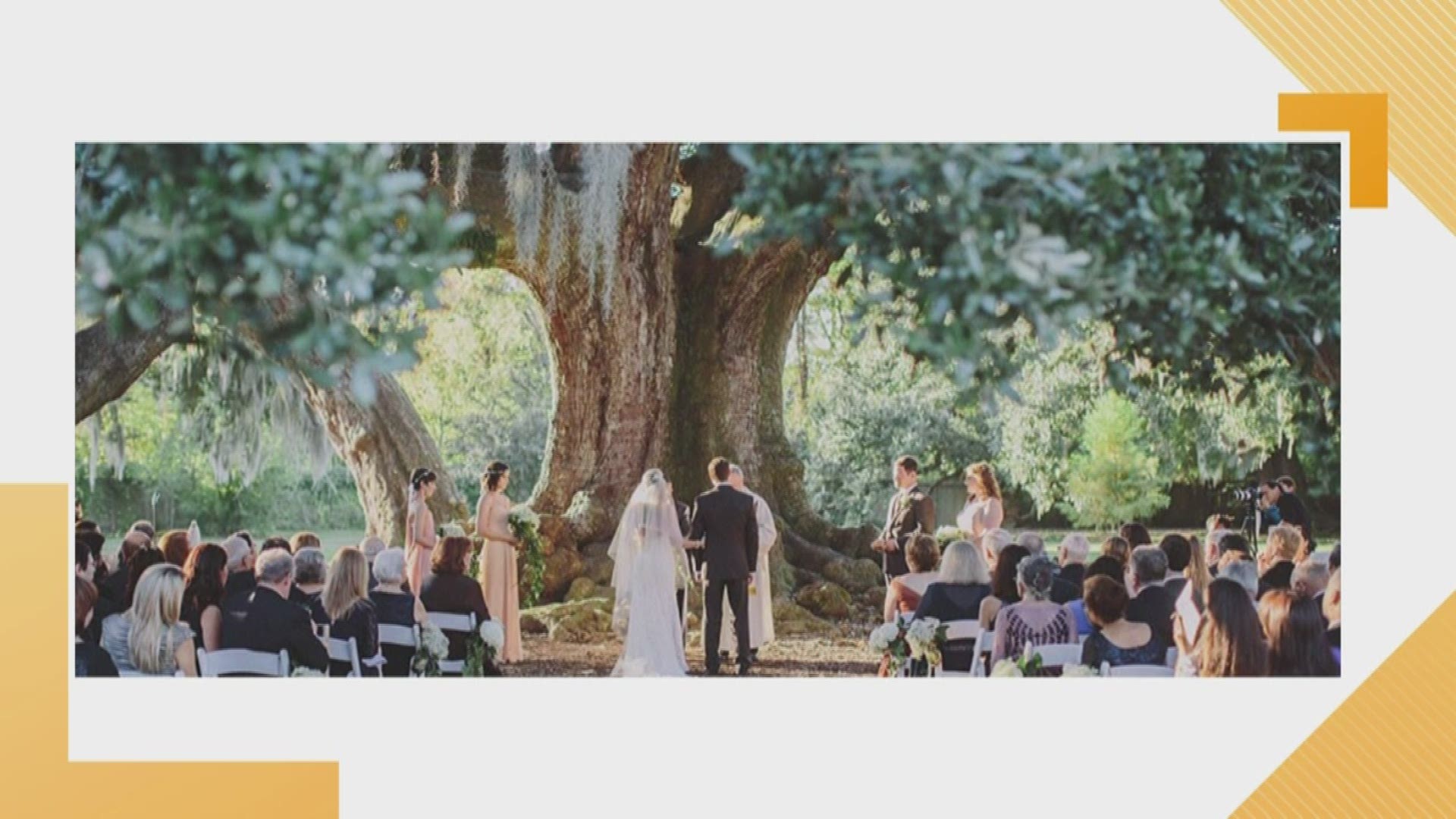 NOLA Bride Magazine has many different options for the bride who would like to say their vows in the beautiful outdoors.