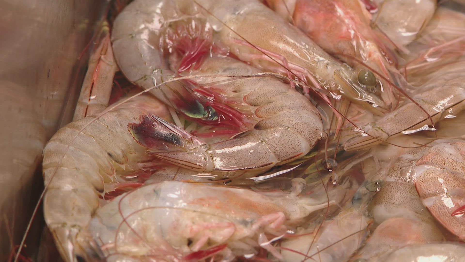 Under a new law, restaurants, seafood markets, and grocers that sell foreign shrimp or crawfish will now have to let you know it's not home grown.