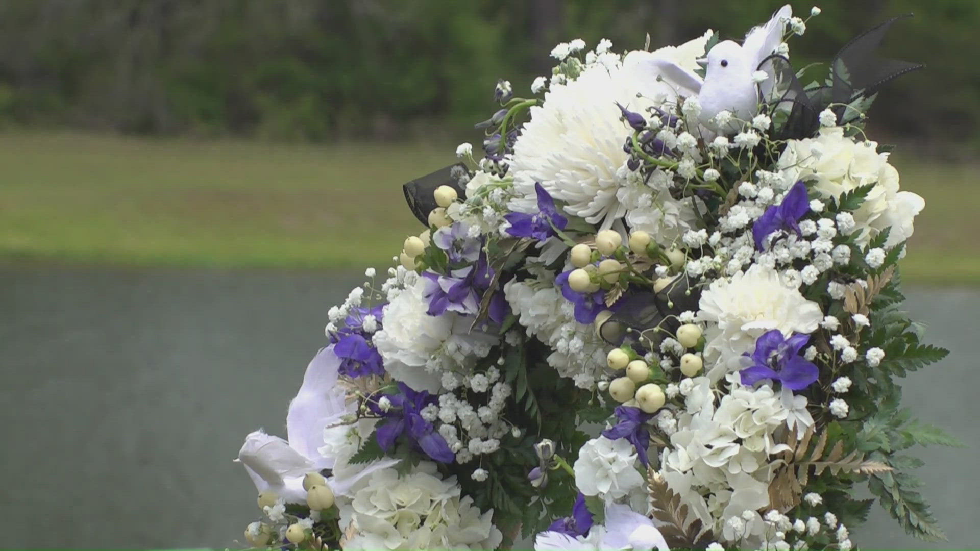 wwltv.com - Krys Shahin - Airline introduces sleep pods for economy passengers on long-haul flights