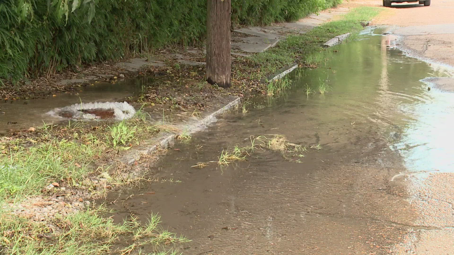 A street in Hollygrove is turning into a river, thanks to a water leak neighbors say is causing a major annoyance.