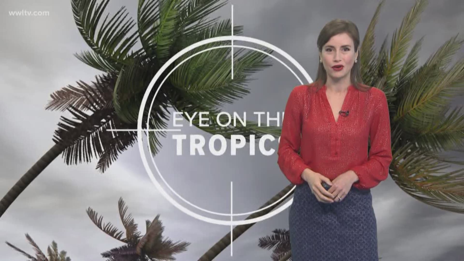 Meteorologist Alexandra Cranford has a check on the tropics on Monday, May 21, 2018.
