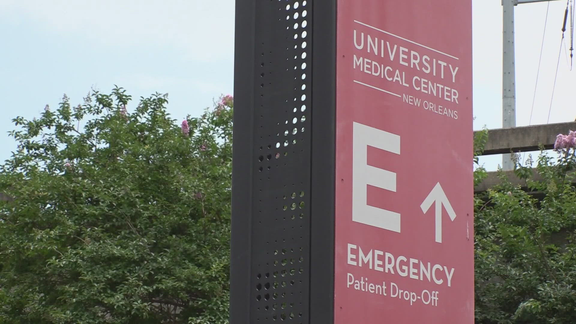 One doctor says cases have increased tenfold in just the last few months. WWL Louisiana's Eleanor Tabone has the story.