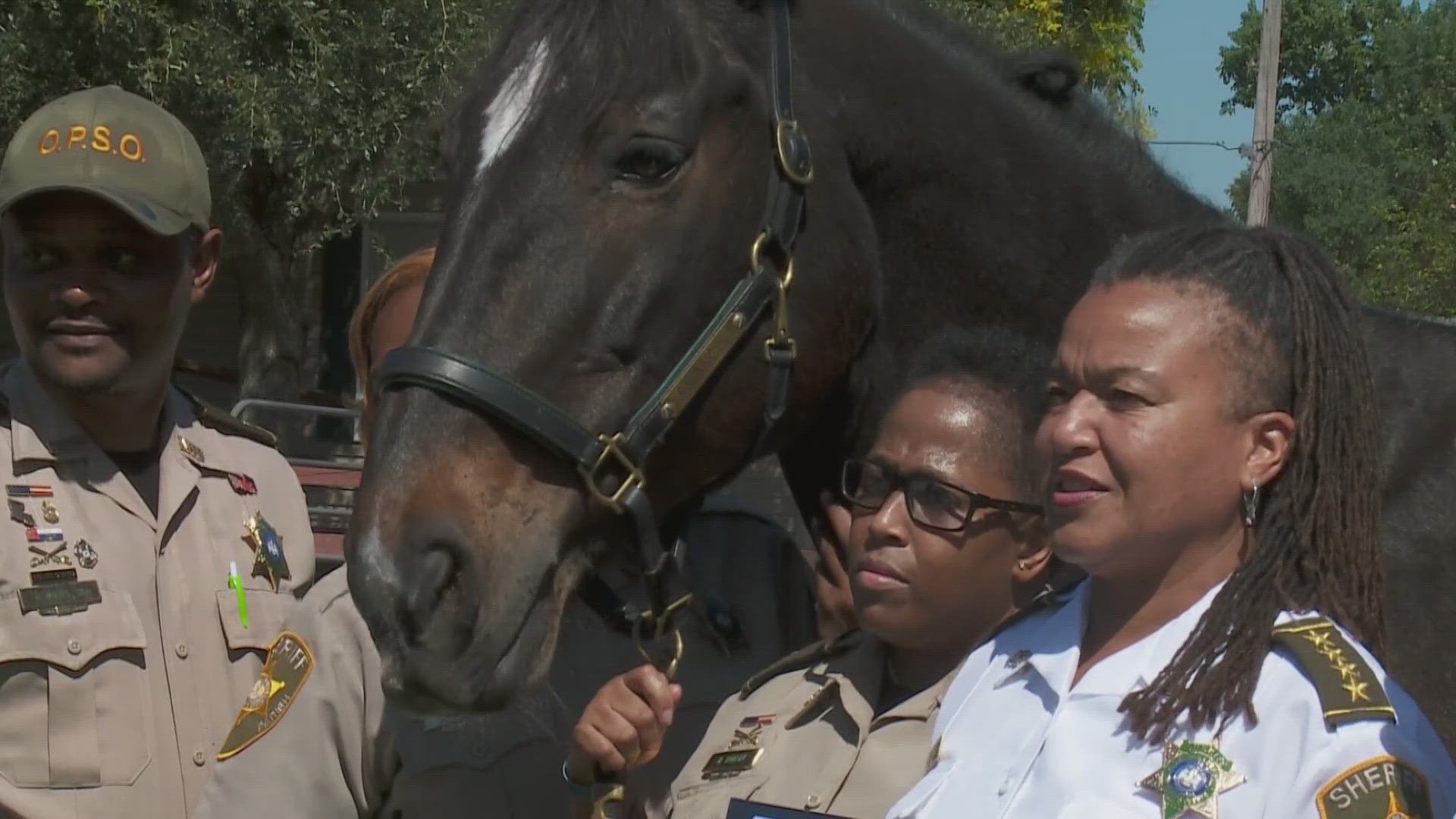 After 17 years of service, she's being put out to pasture – literally. We're talking about Francis, one of the longest serving horses in the mounted unit.