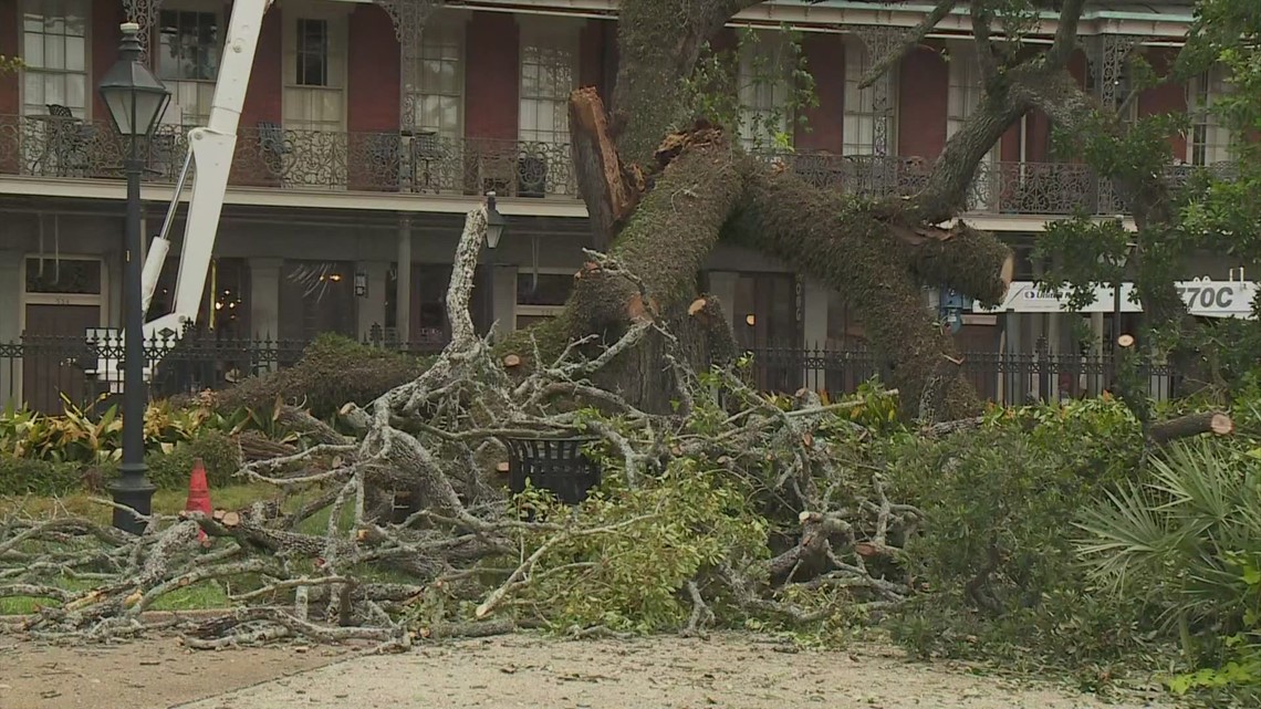 Family of teen injured by falling tree in Jackson Square suing city - Vimarsana News