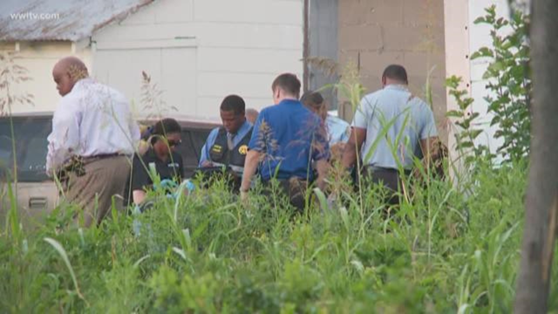 NOPD: Man shot to death on Warfield Street | wwltv.com