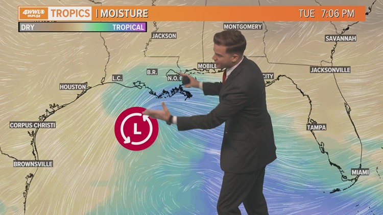 Hybrid Gulf low could bring rain next week