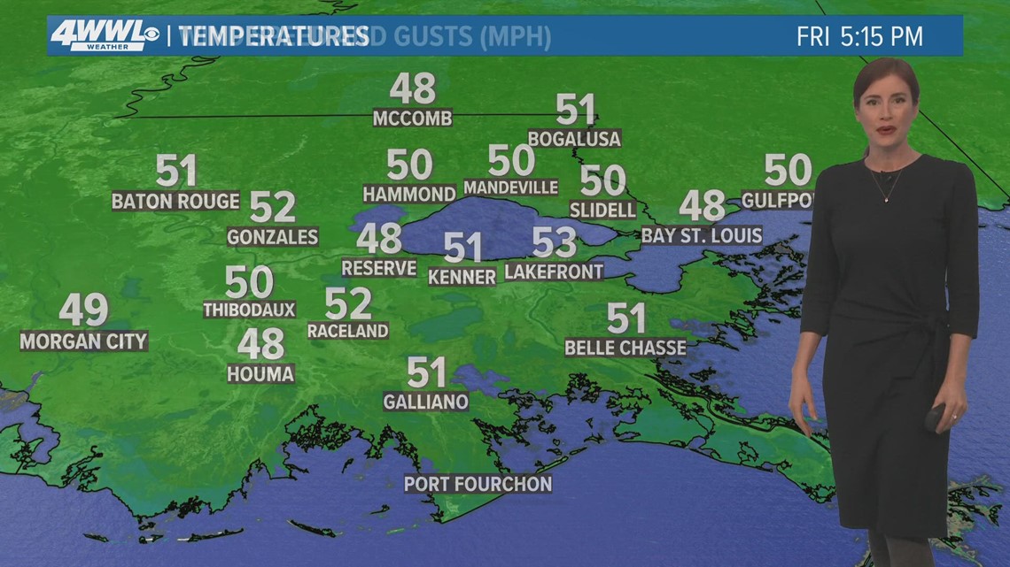 Try Catfish Allison on National Catfish Day