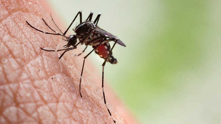 MS reports first West Nile virus case in 2018