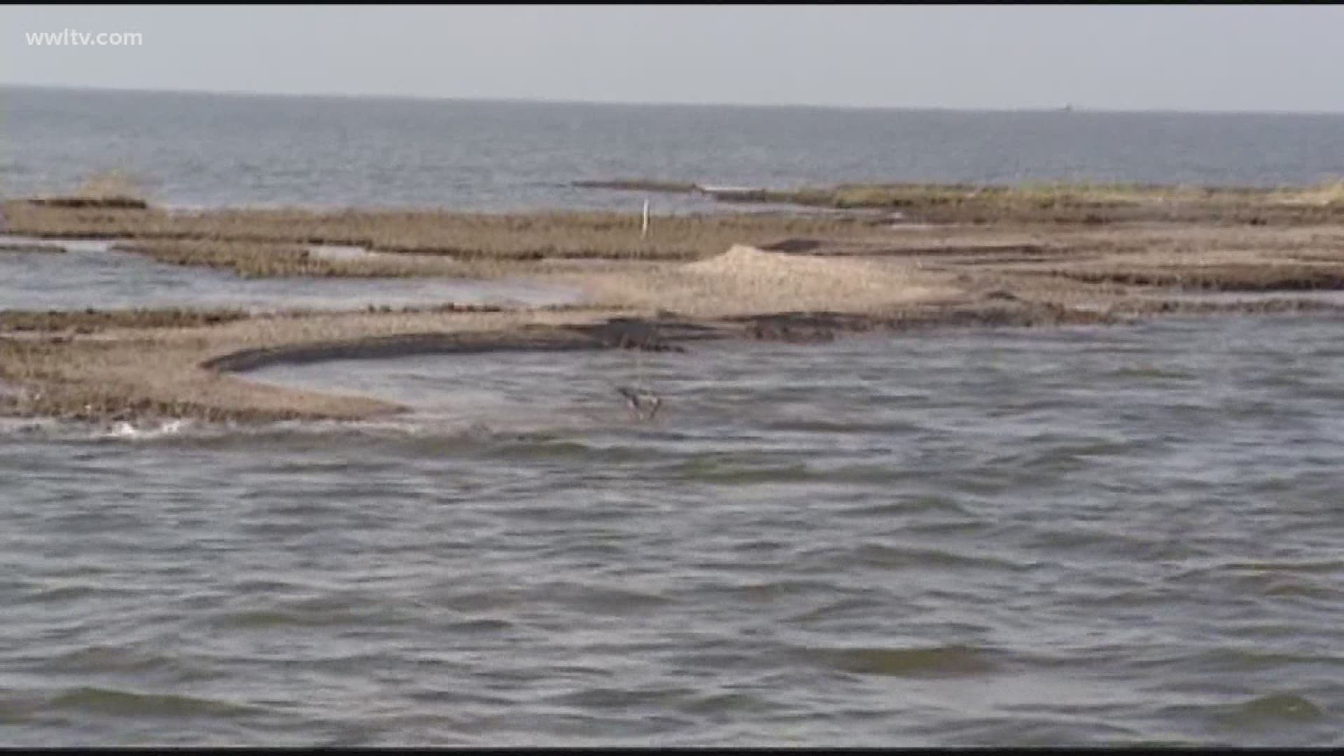 How has Hurricane Laura damaged Louisiana's wetlands?