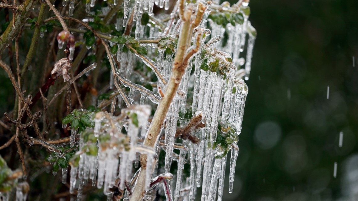 new orleans weather winter storm