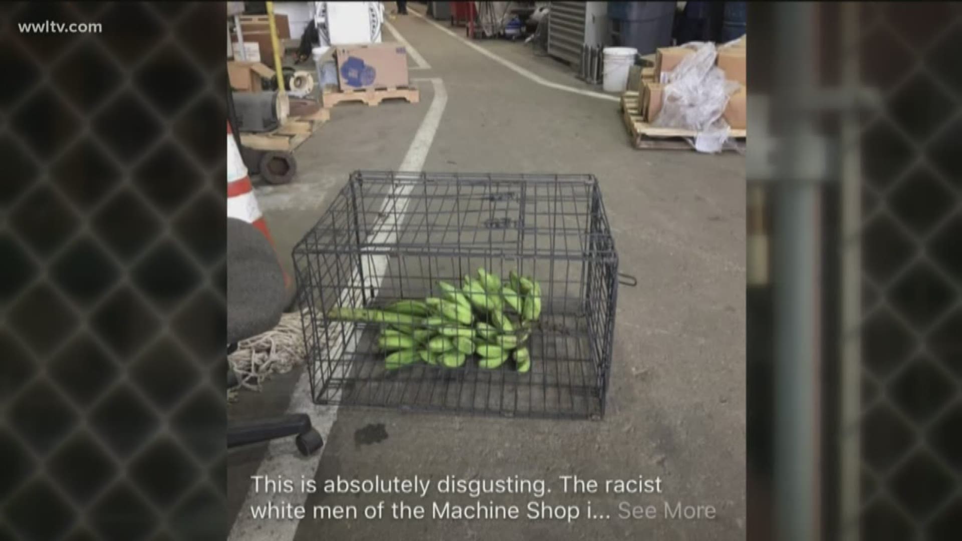 Image showed bananas in cage that were reportedly left for black workers by a white worker