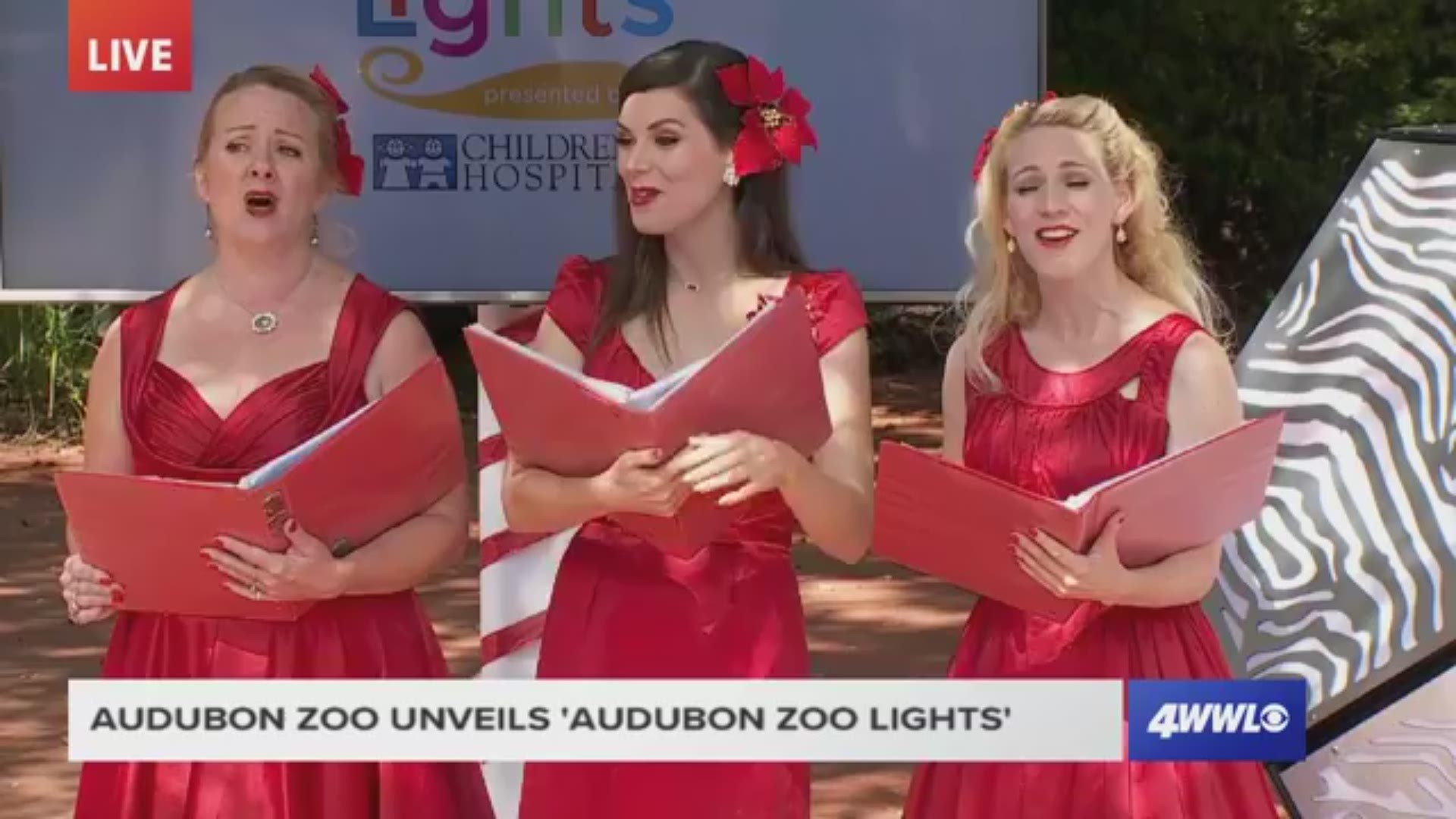 Audubon Zoo unveils  'Audubon Zoo Lights'