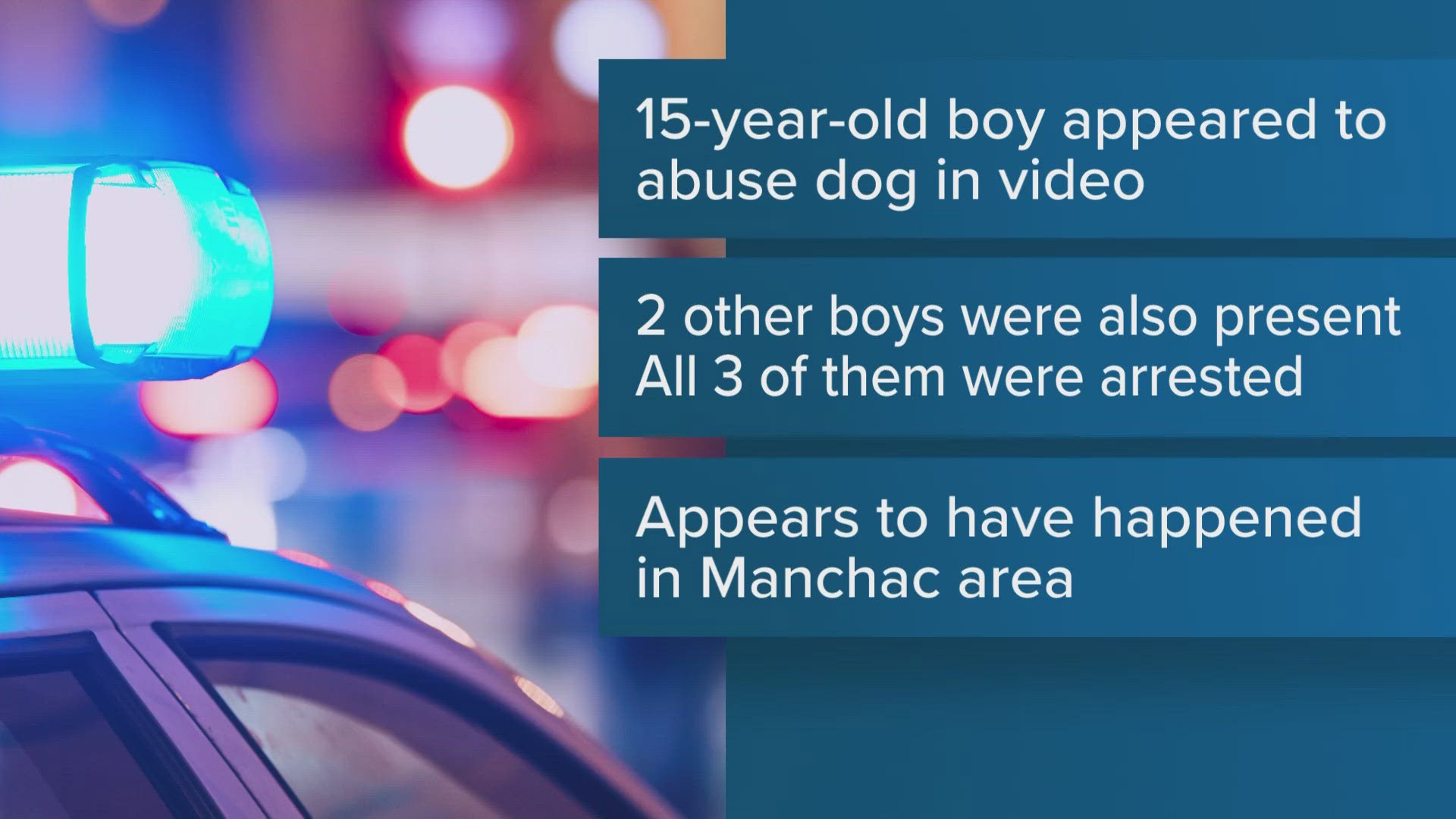 One of the boys was charged with one count of Animal Cruelty. The other two were charged with one count of Principal to Animal Cruelty.