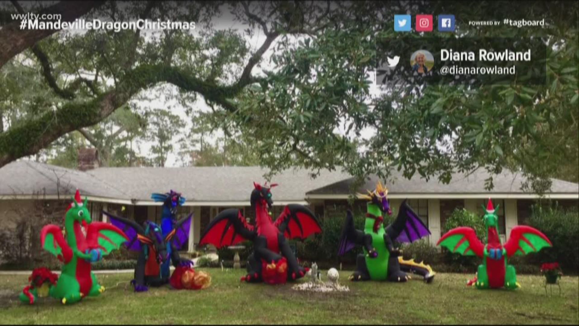 The woman was told her lawn display was not acceptable, so she added more dragons.