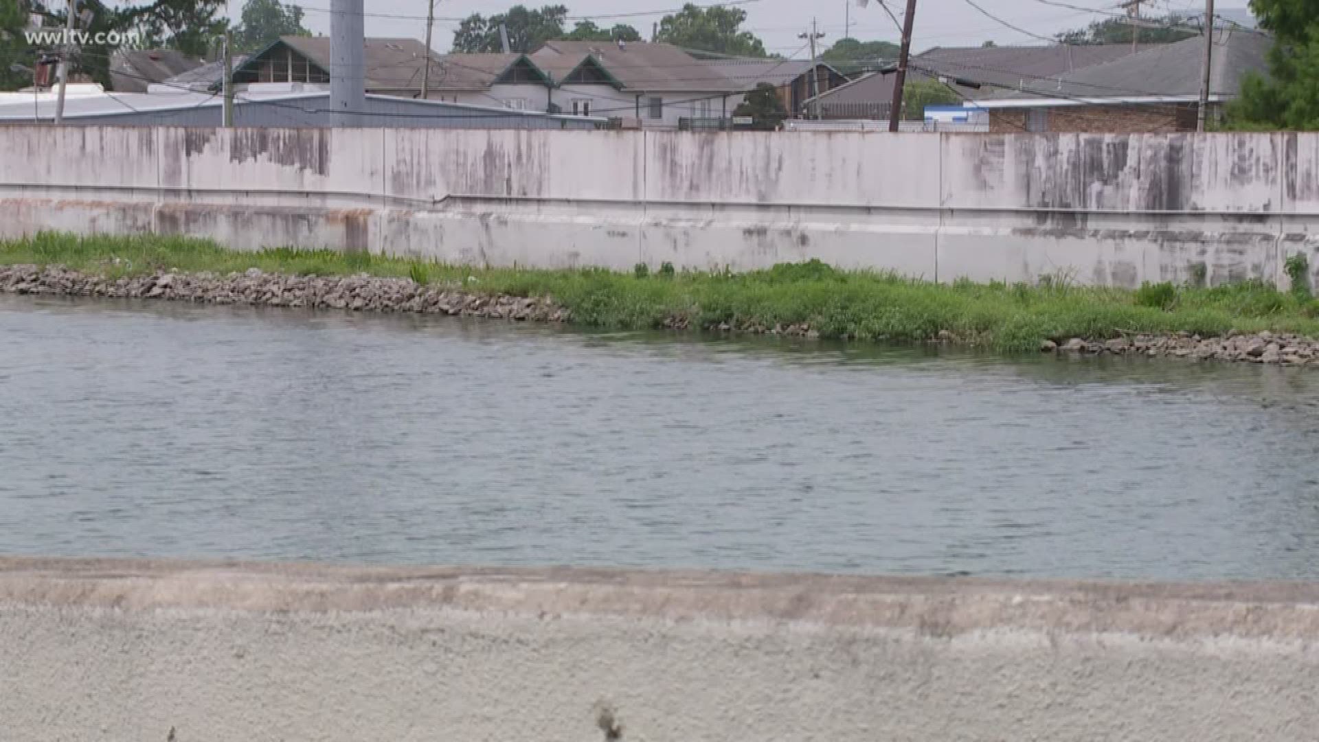 “The fact that these levees won't be certifiable in four years is a travesty."