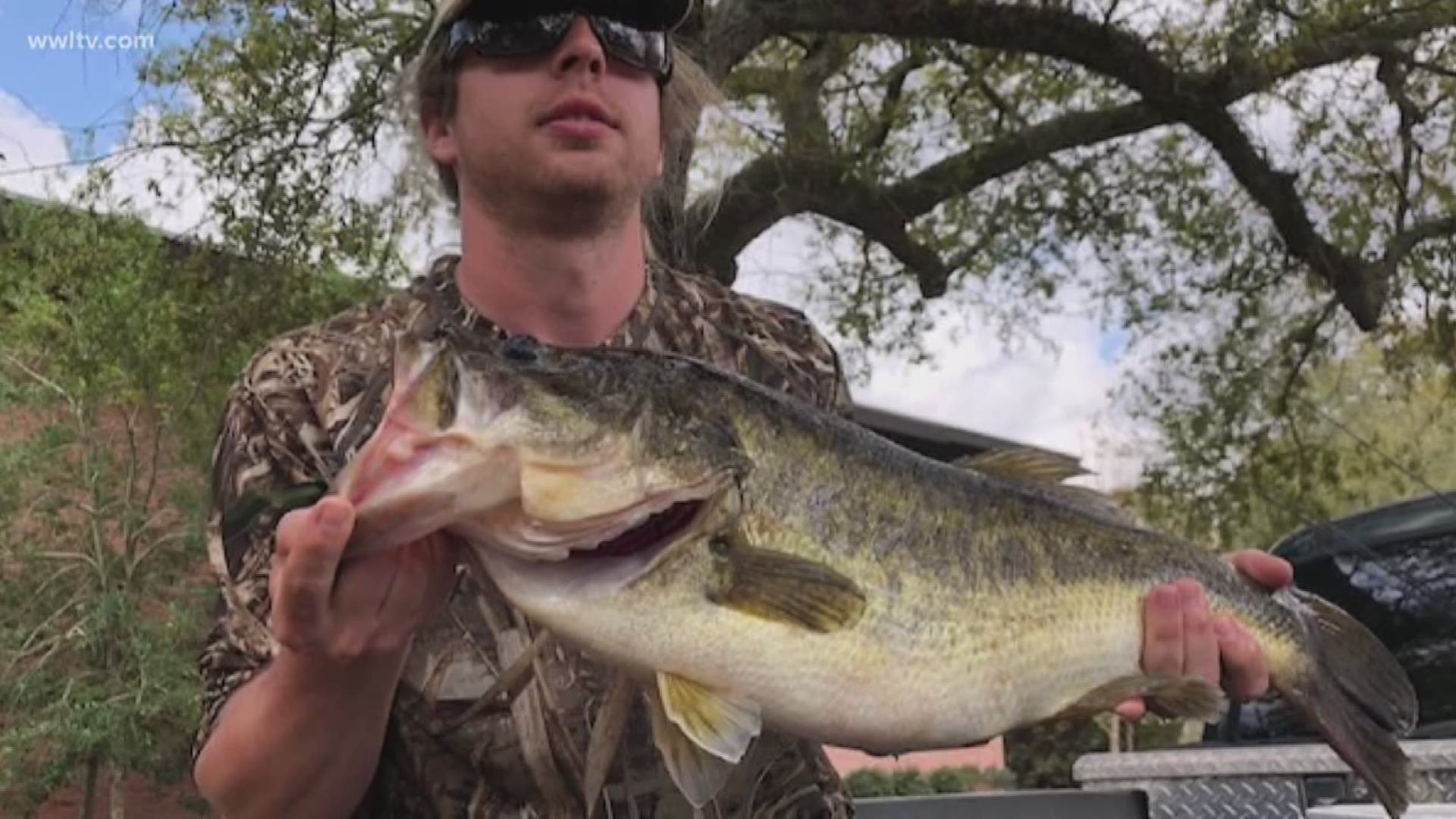 Bragging rights are on the line at the Annual City Park Big Bass Rodeo.