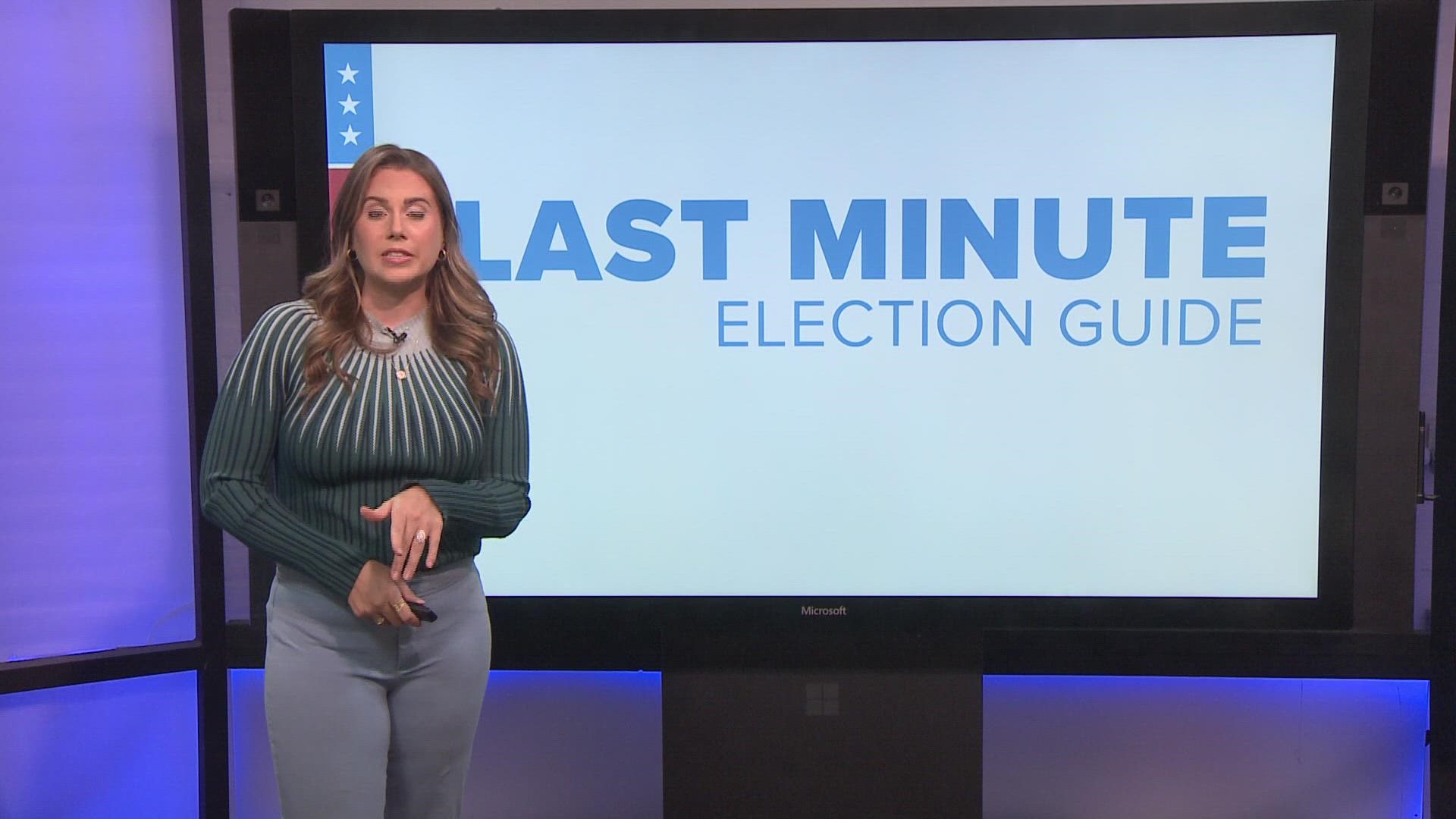 A last minute Louisiana Midterm Elections Guide