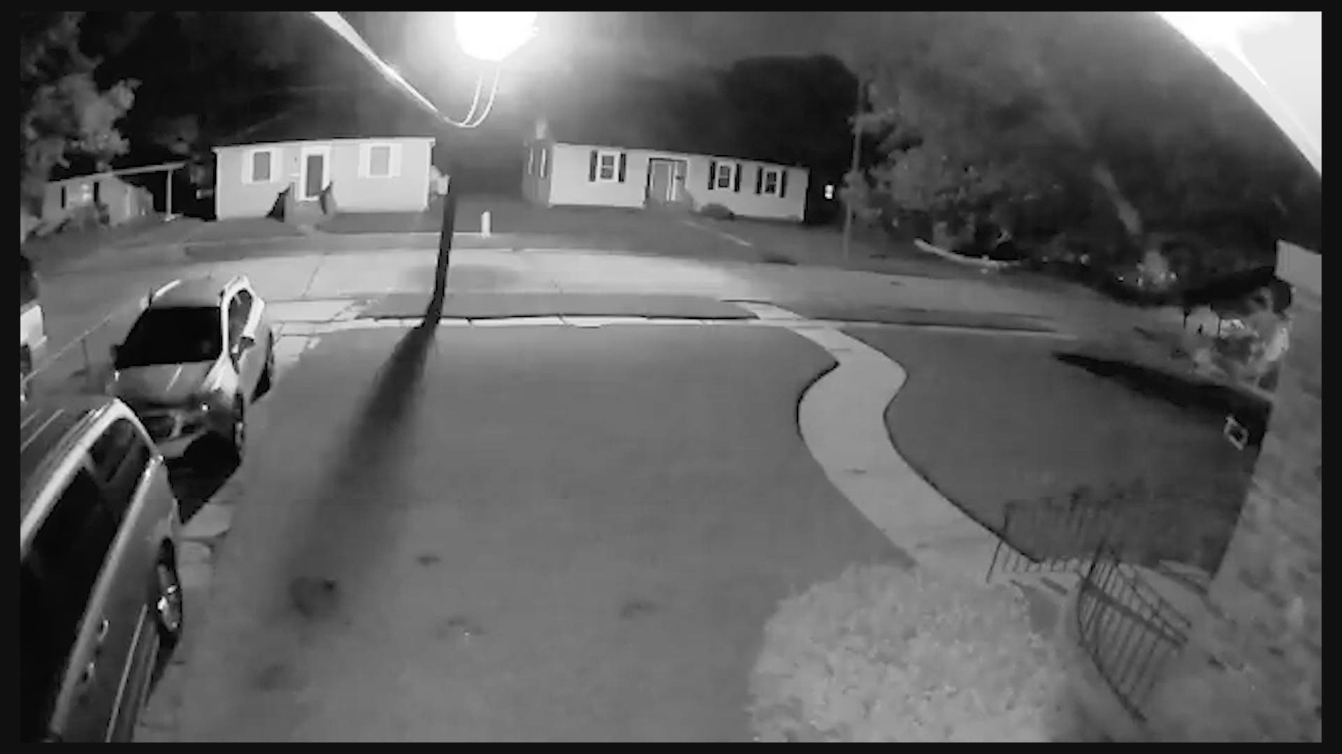 Surveillance cameras capture a coyote catch and kill a cat before carrying it away.