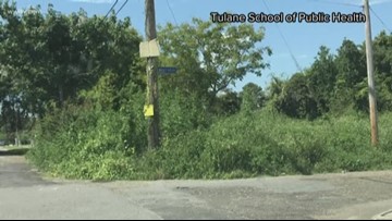 City Hall lists more than 100 vacant lots neighbors can 'Mow to Own'