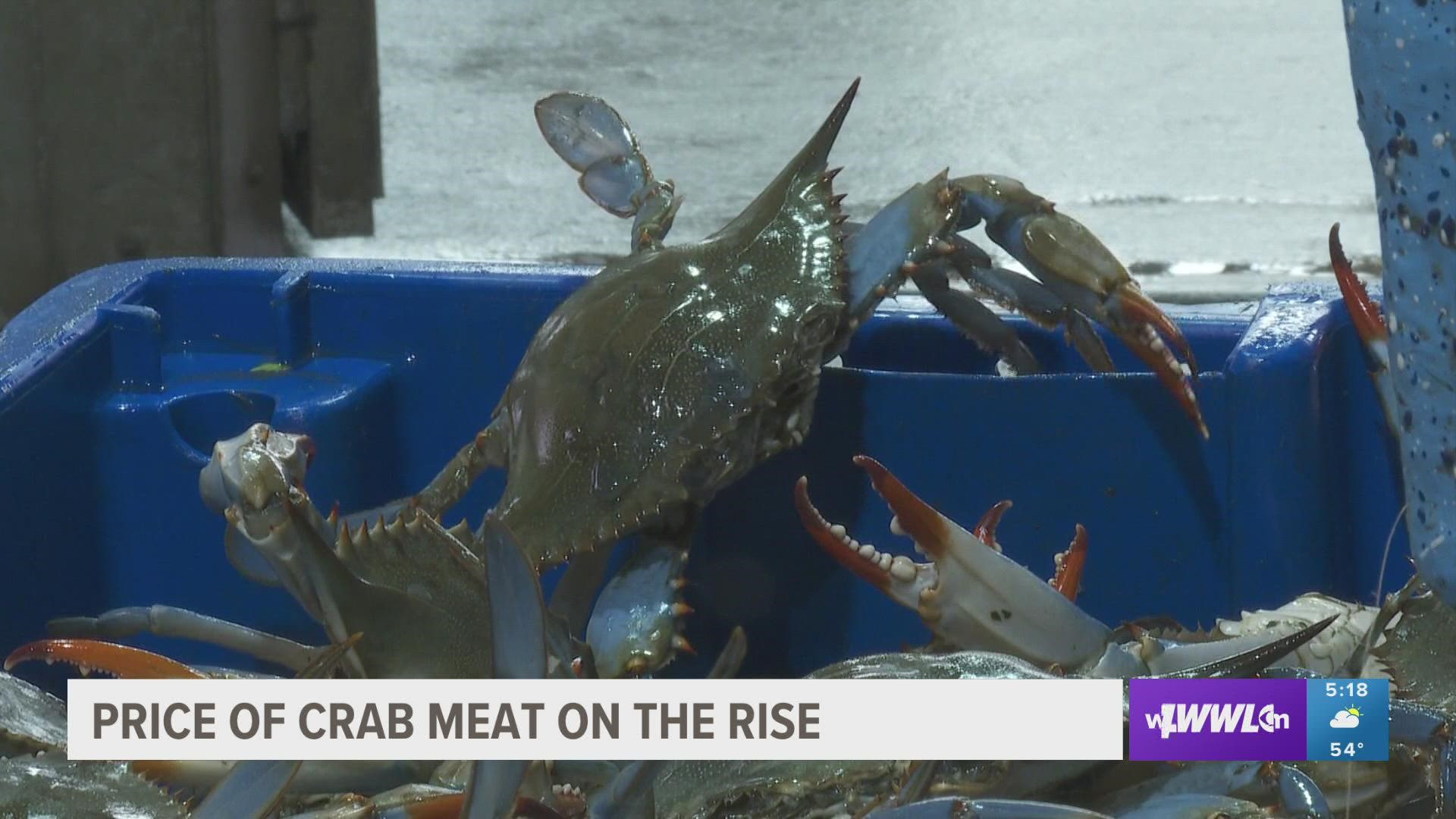 As expensive as lump crabmeat is these days, the price of jumbo lump crab is even higher. Some stores in Louisiana are now selling it for more than $65 a pound.