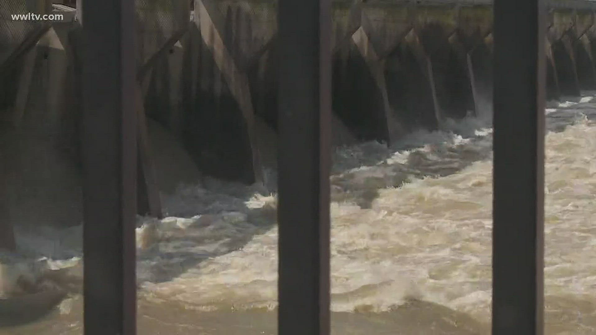 So far, 183 of the 350 bays on the mile-wide Spillway are open.