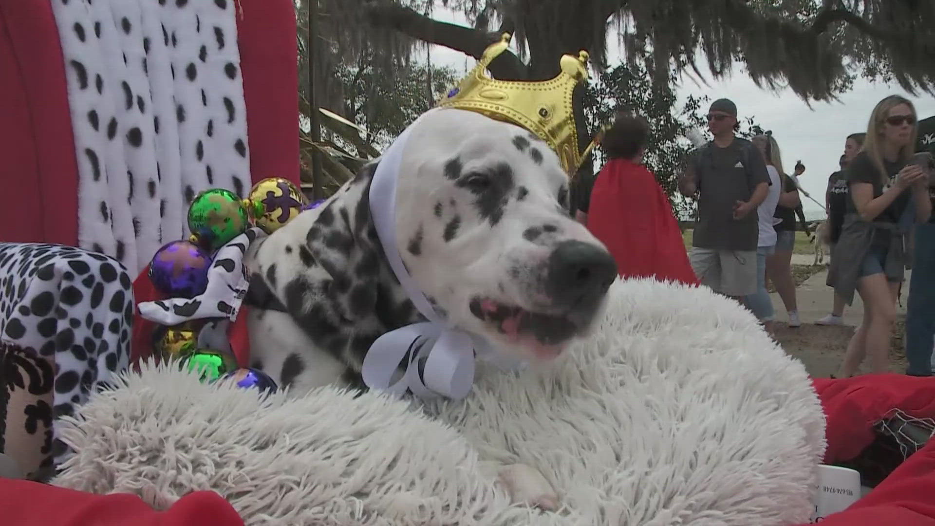 This year's theme is "Woofs of Art."