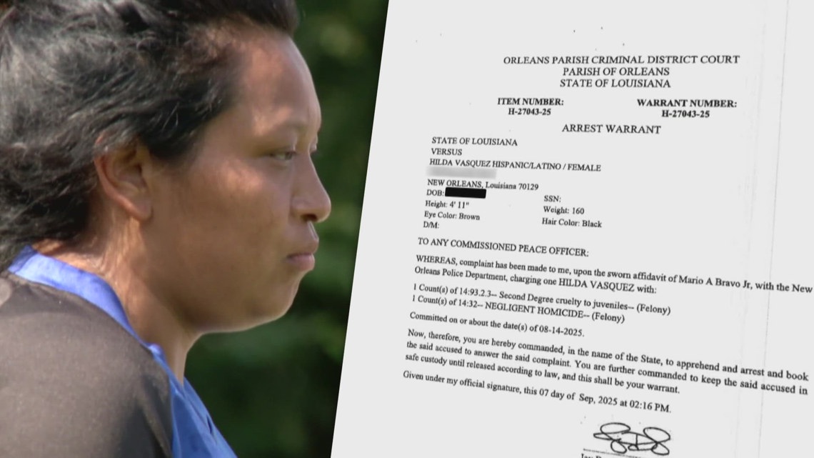 Mother of New Orleans boy attacked by alligator had prior DCFS investigations, records show