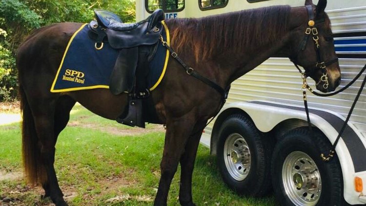 150 officers, 20 dogs and 12 horses can't keep St. Louis fans from