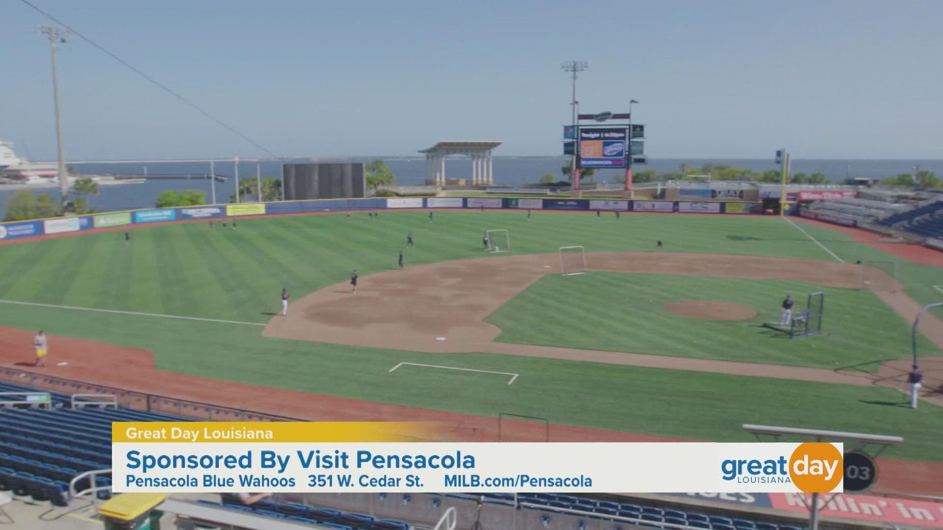 The Blue Wahoos show us the beautiful view, the delicious food, and all the fun they offer to baseball fans.