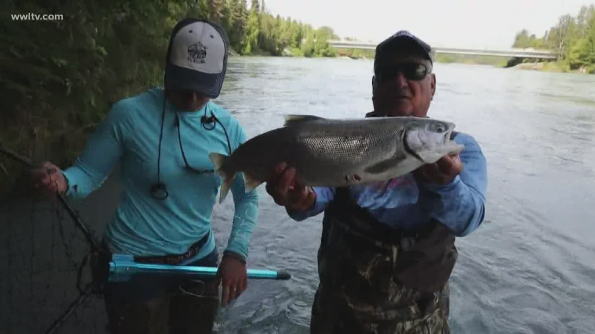 Don Debuc and company shows us his 'Flossing' Fishing Technique for catching Red Salmon.