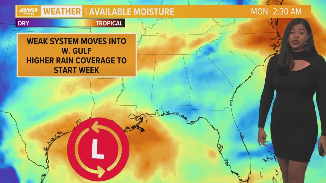 Dog rescued after legs sawed off, being shot on Northshore