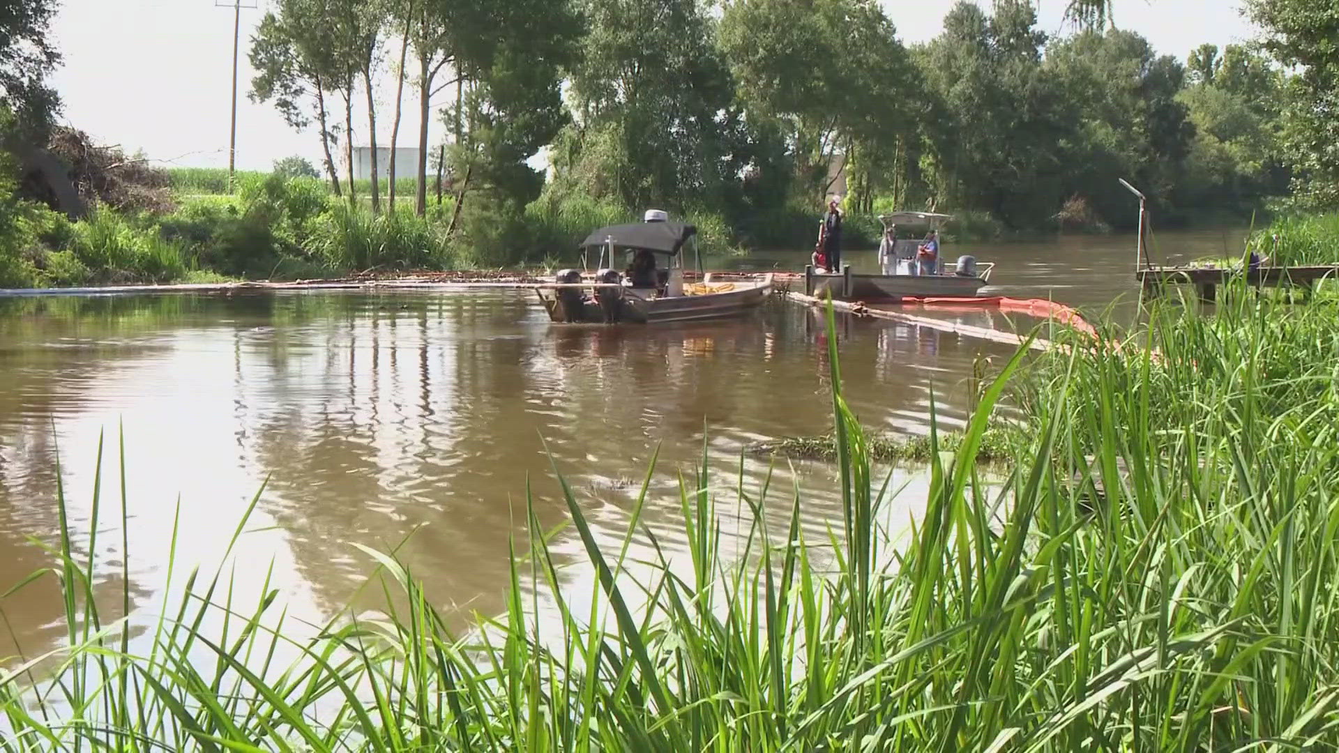 It's been a day and a half since crude oil poured into Bayou Lafourche from a nearby plant . The parish said almost a hundred responders were at the site on Sunday.